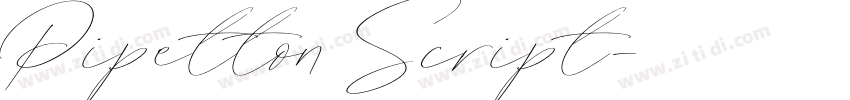 Pipetton Script字体转换